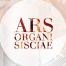 13. Međunarodni orguljaški festival Ars organi Sisciae